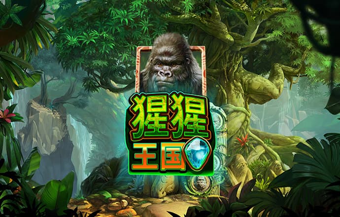 k体育最新官网app